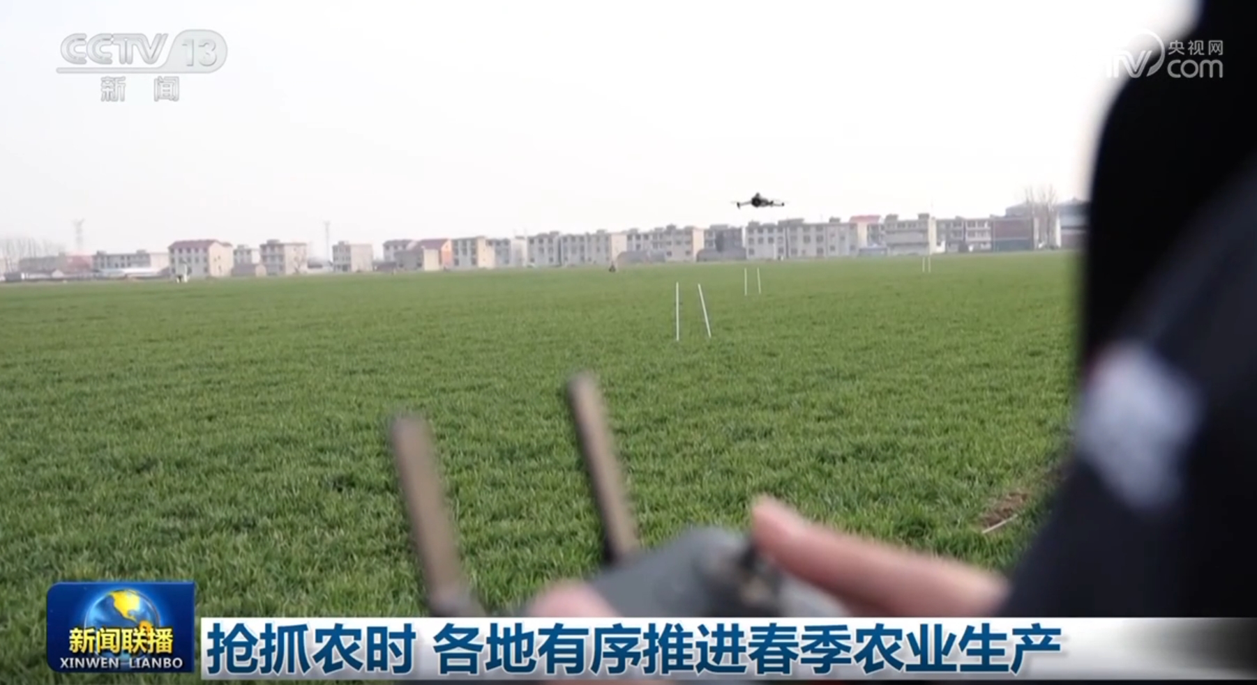 球星表現