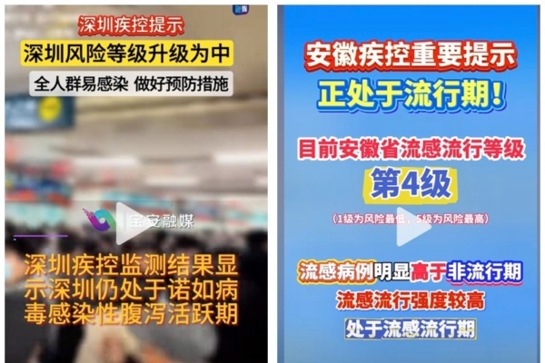 协作和个人